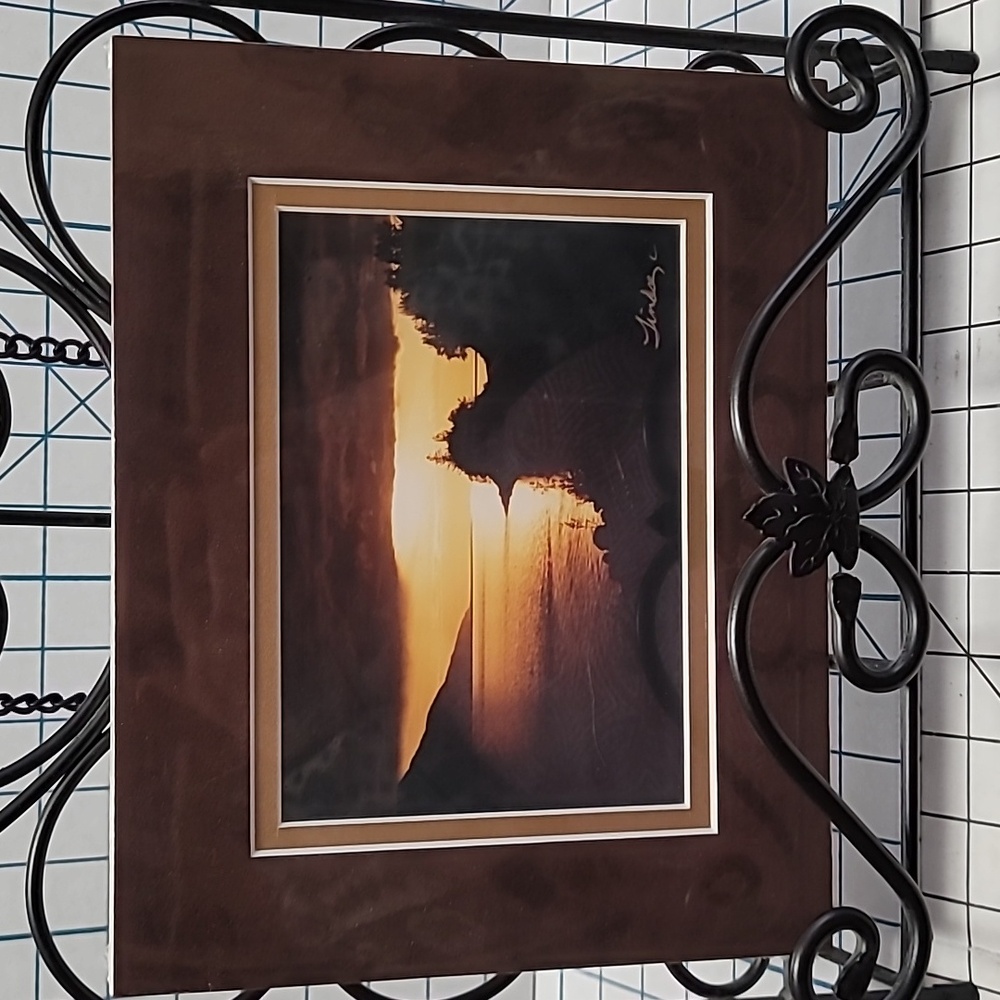Alaskan Wildlife Matted Photo‎ - Turnagain Arm